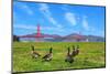Golden Gate Bridge with Gooses-prochasson-Mounted Photographic Print