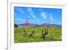 Golden Gate Bridge with Gooses-prochasson-Framed Photographic Print