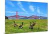 Golden Gate Bridge with Gooses-prochasson-Mounted Photographic Print