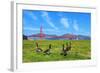 Golden Gate Bridge with Gooses-prochasson-Framed Photographic Print