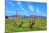 Golden Gate Bridge with Gooses-prochasson-Mounted Photographic Print