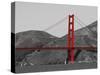 Golden Gate Bridge with Red Pop Border-Emily Navas-Stretched Canvas