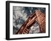 Golden Gate Bridge-Andrea Costantini-Framed Photographic Print