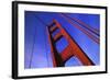 Golden Gate Bridge-Darrell Gulin-Framed Photographic Print