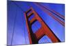 Golden Gate Bridge-Darrell Gulin-Mounted Photographic Print