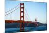 Golden Gate Bridge-John Roman Images-Mounted Photographic Print