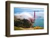 Golden Gate Bridge-CelsoDiniz-Framed Photographic Print