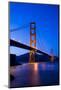 Golden Gate Bridge-John Roman Images-Mounted Photographic Print