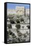 Golden Gate, Jerusalem, Israel-Vivienne Sharp-Framed Stretched Canvas