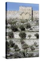 Golden Gate, Jerusalem, Israel-Vivienne Sharp-Stretched Canvas