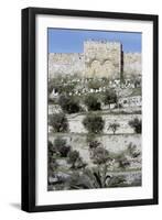 Golden Gate, Jerusalem, Israel-Vivienne Sharp-Framed Photographic Print