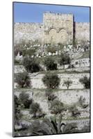 Golden Gate, Jerusalem, Israel-Vivienne Sharp-Mounted Photographic Print