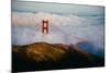 Golden Gate Life, Bridge and Bay Area Fog, San Francisco-Vincent James-Mounted Photographic Print