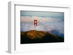 Golden Gate Life, Bridge and Bay Area Fog, San Francisco-Vincent James-Framed Photographic Print