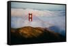 Golden Gate Life, Bridge and Bay Area Fog, San Francisco-Vincent James-Framed Stretched Canvas