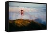 Golden Gate Life, Bridge and Bay Area Fog, San Francisco-Vincent James-Framed Stretched Canvas