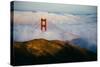 Golden Gate Life, Bridge and Bay Area Fog, San Francisco-Vincent James-Stretched Canvas