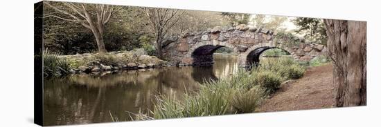 Golden Gate Park #10-Alan Blaustein-Stretched Canvas