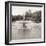 Golden Gate Park #6-Alan Blaustein-Framed Photographic Print