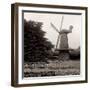 Golden Gate Park #7-Alan Blaustein-Framed Photographic Print