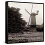 Golden Gate Park #7-Alan Blaustein-Framed Stretched Canvas