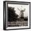 Golden Gate Park #7-Alan Blaustein-Framed Photographic Print