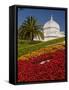 Golden Gate Park Conservatory-Richard Nowitz-Framed Stretched Canvas