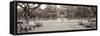 Golden Gate Park Pano #2-Alan Blaustein-Framed Stretched Canvas