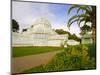 Golden Gate Park, San Francisco Conservatory of Flowers, San Francisco, California, USA-Julie Eggers-Mounted Photographic Print