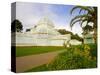 Golden Gate Park, San Francisco Conservatory of Flowers, San Francisco, California, USA-Julie Eggers-Stretched Canvas