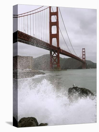 Golden Gate Suicides-Jeff Chiu-Stretched Canvas