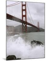 Golden Gate Suicides-Jeff Chiu-Mounted Premium Photographic Print