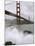 Golden Gate Suicides-Jeff Chiu-Mounted Premium Photographic Print