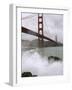 Golden Gate Suicides-Jeff Chiu-Framed Photographic Print