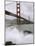 Golden Gate Suicides-Jeff Chiu-Mounted Photographic Print