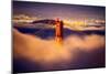 Golden Gate Tower and Low Fog and San Francisco, California-Vincent James-Mounted Photographic Print