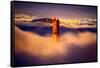 Golden Gate Tower and Low Fog and San Francisco, California-Vincent James-Framed Stretched Canvas