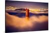 Golden Gate Tower and Low Fog and San Francisco, California-Vincent James-Stretched Canvas