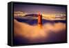 Golden Gate Tower and Low Fog and San Francisco, California-Vincent James-Framed Stretched Canvas