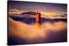 Golden Gate Tower and Low Fog and San Francisco, California-Vincent James-Stretched Canvas