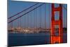 Golden Gate View-FiledIMAGE-Mounted Photographic Print