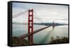 Golden Gate-Bill Carson Photography-Framed Stretched Canvas