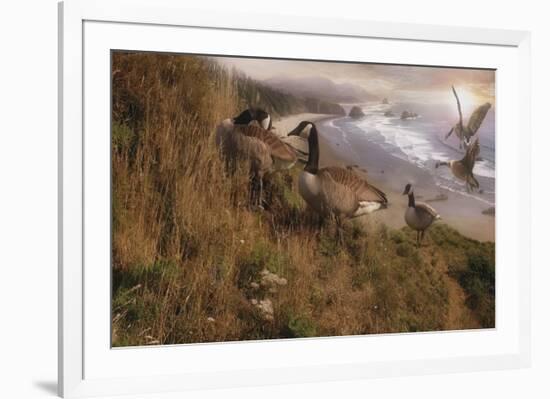 Golden Geese-Steve Hunziker-Framed Art Print