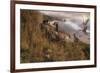 Golden Geese-Steve Hunziker-Framed Art Print