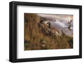 Golden Geese-Steve Hunziker-Framed Art Print