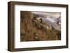 Golden Geese-Steve Hunziker-Framed Art Print