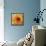 Golden Gerbera I-Art Licensing Studio-Framed Stretched Canvas displayed on a wall