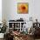 Golden Gerbera I-Art Licensing Studio-Framed Stretched Canvas displayed on a wall