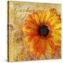 Golden Gerbera I-Art Licensing Studio-Stretched Canvas