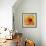 Golden Gerbera I-Art Licensing Studio-Framed Giclee Print displayed on a wall